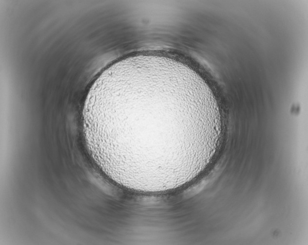 X0000090461401200708102101
