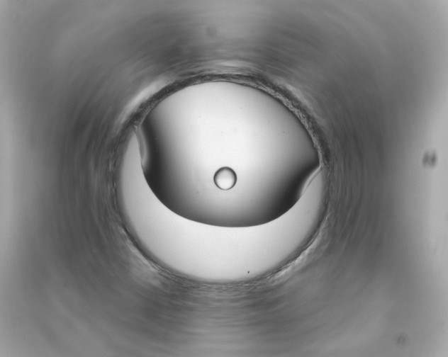 X0000090461402200708102101