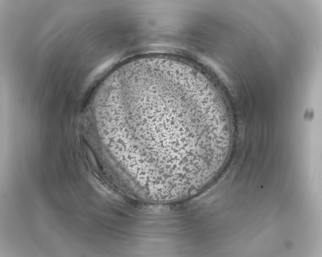 X0000090461403200708102101