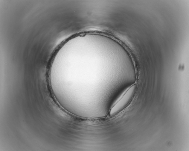X0000090461404200708102101