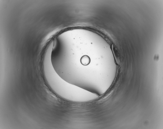 X0000090461406200708102101