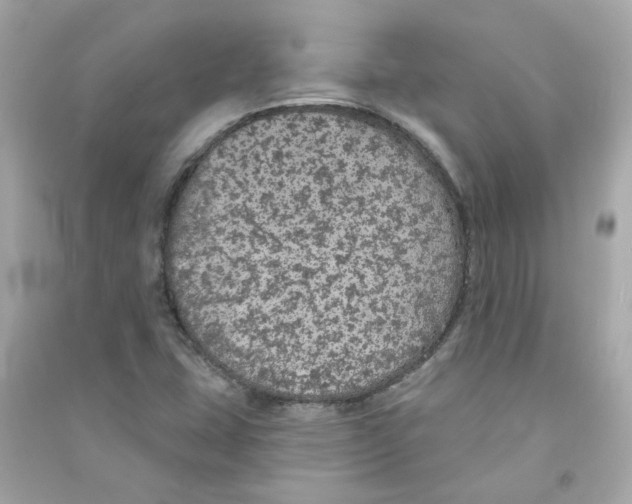 X0000090461407200708102101