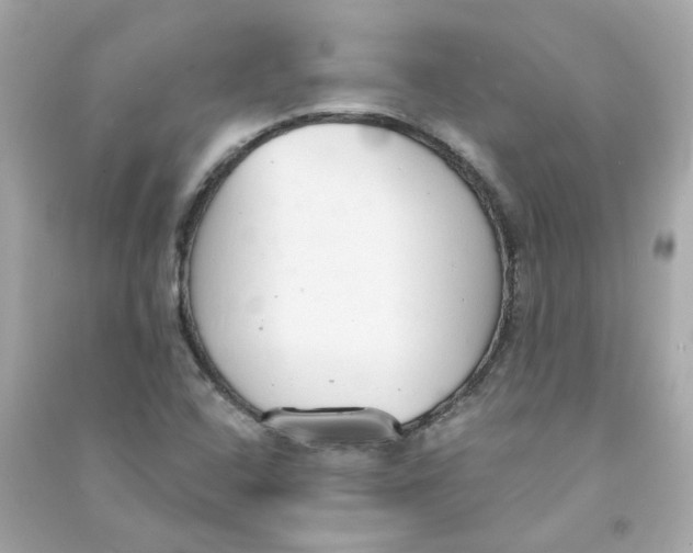 X0000090461408200708102101