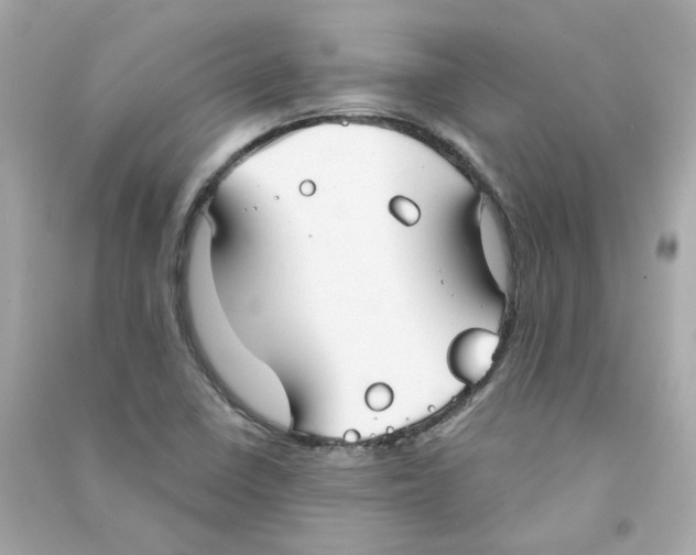 X0000090461410200708102101