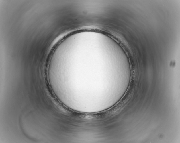 X0000090461412200708102101