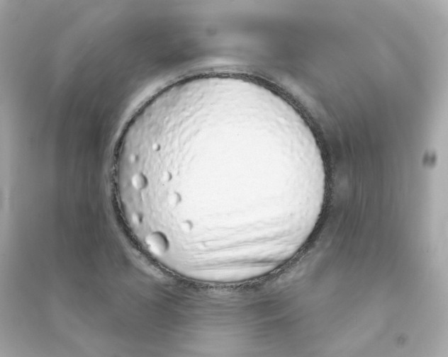 X0000090461413200708102101