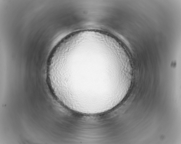 X0000090461415200708102101