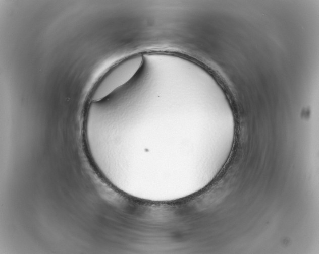 X0000090461416200708102101
