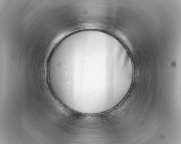 X0000090461419200708102101