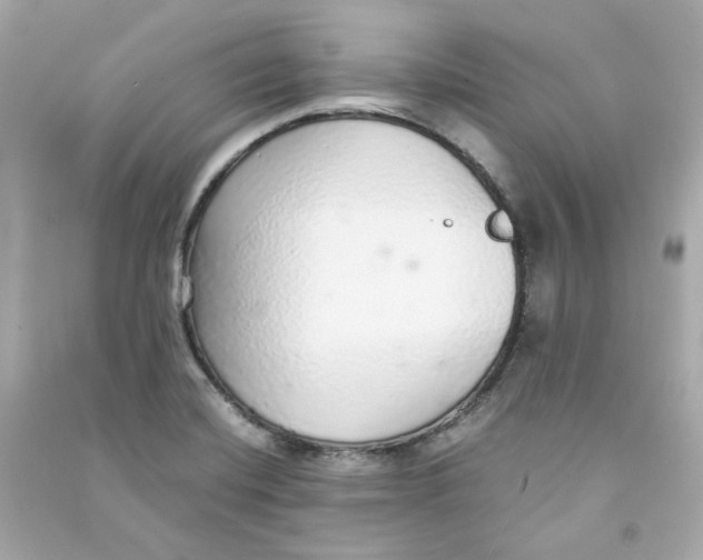 X0000090461420200708102101