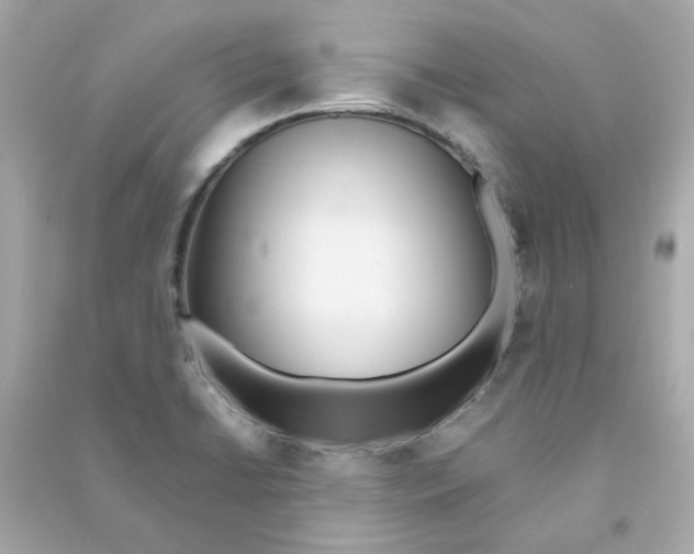 X0000090461422200708102101