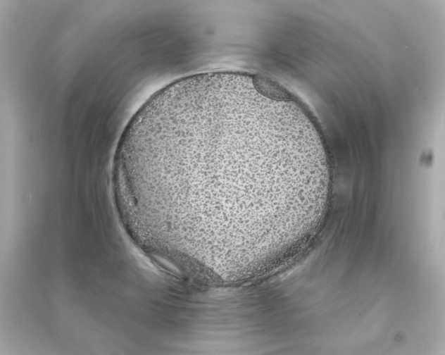 X0000090461423200708102101