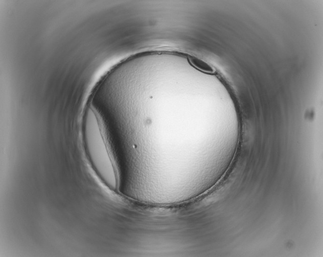 X0000090461424200708102101