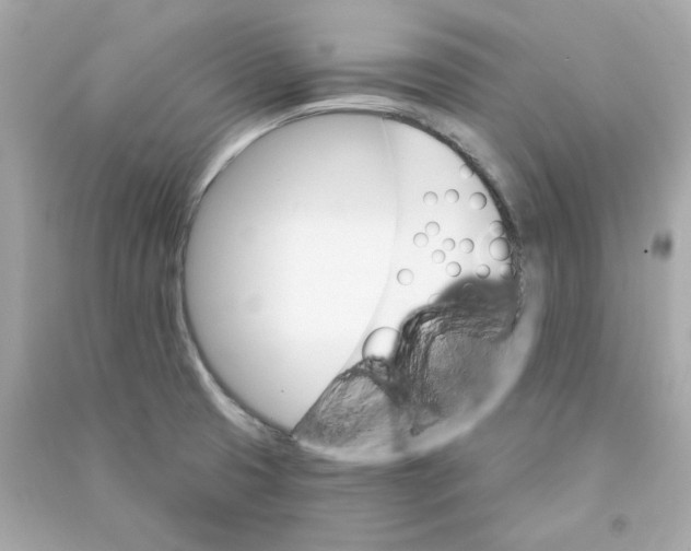 X0000090461425200708102101