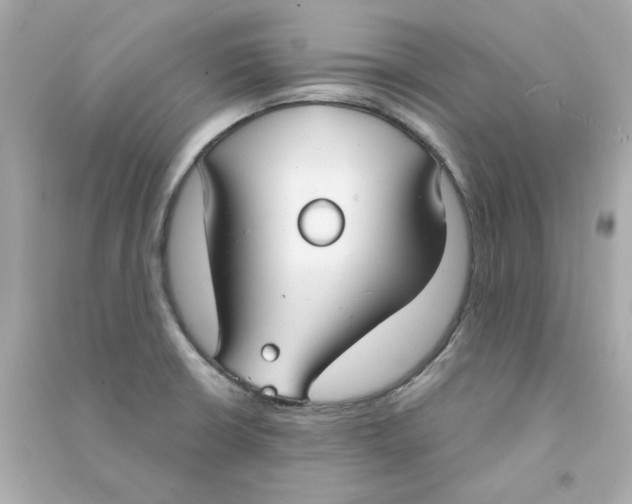 X0000090461426200708102101