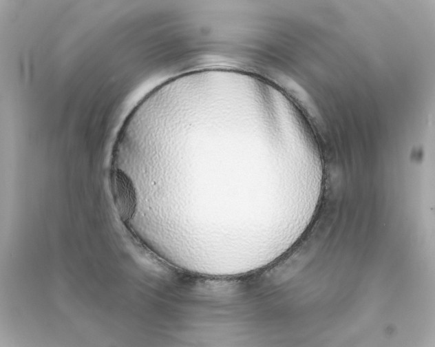 X0000090461427200708102101
