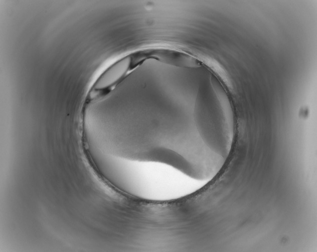 X0000090461428200708102101