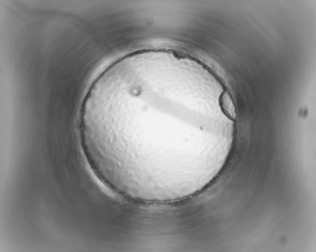 X0000090461429200708102101