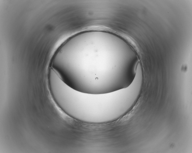 X0000090461430200708102101