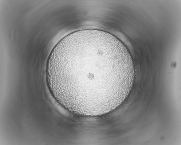 X0000090461431200708102101