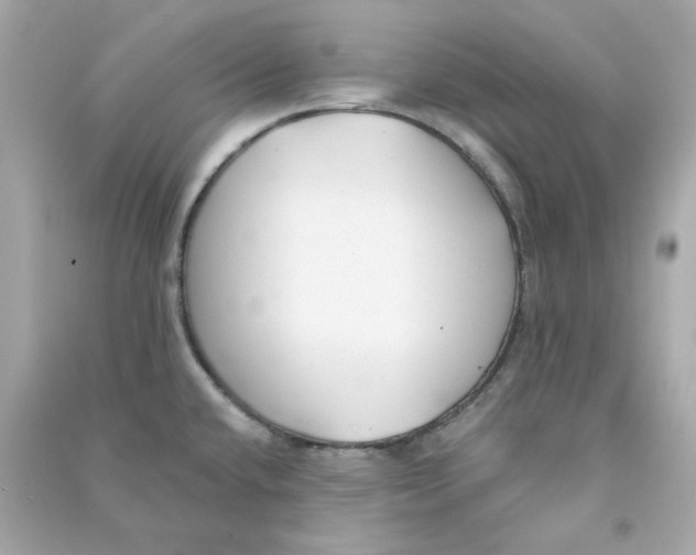 X0000090461432200708102101