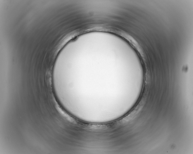 X0000090461433200708102101