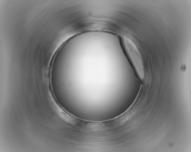 X0000090461434200708102102
