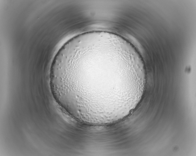 X0000090461435200708102102