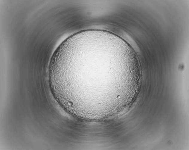 X0000090461436200708102102
