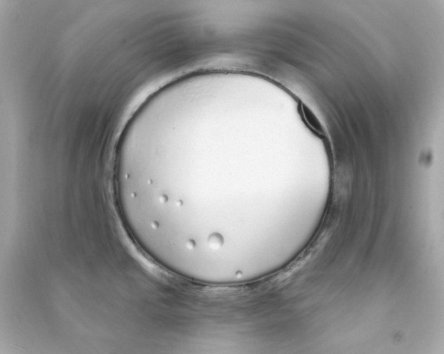 X0000090461437200708102102