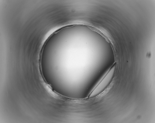 X0000090461438200708102102