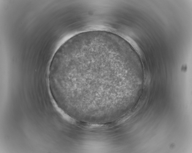X0000090461439200708102102