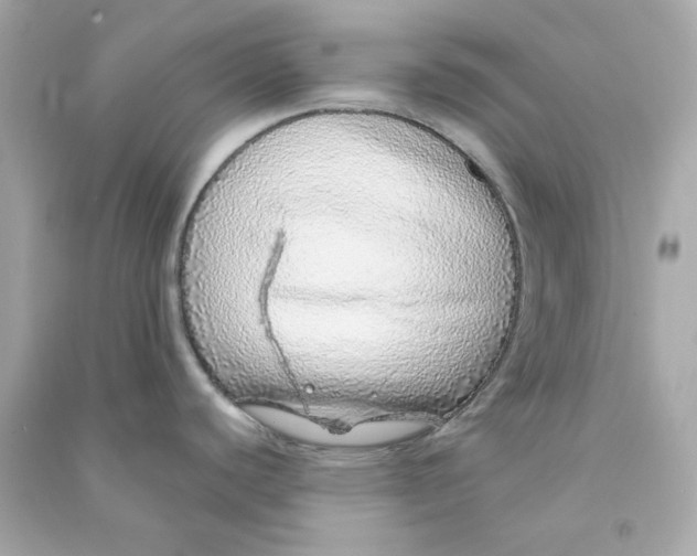 X0000090461440200708102102