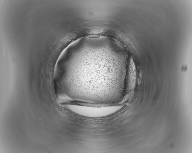 X0000090461441200708102101