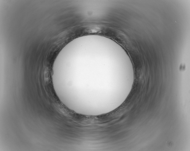 X0000090461442200708102101