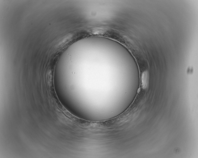 X0000090461443200708102101