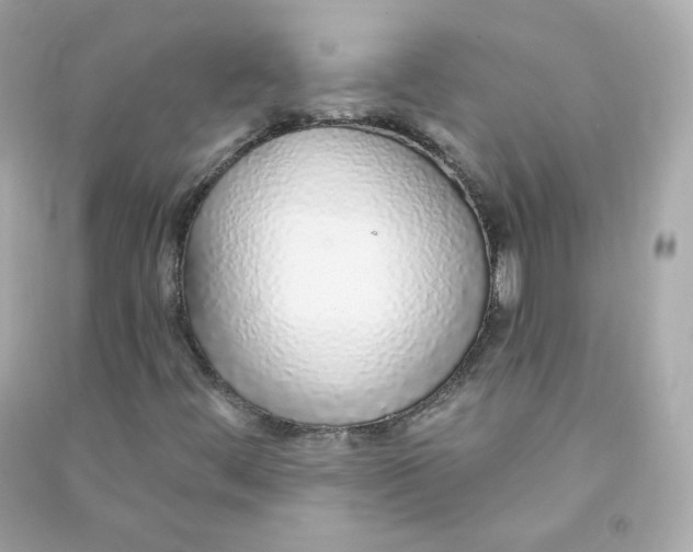 X0000090461444200708102101