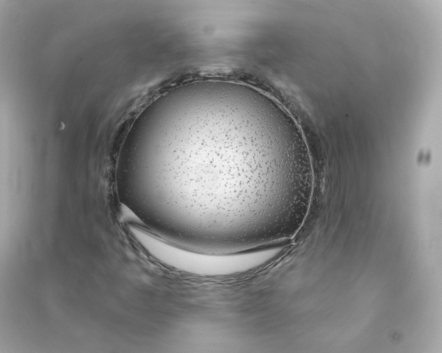 X0000090461445200708102101