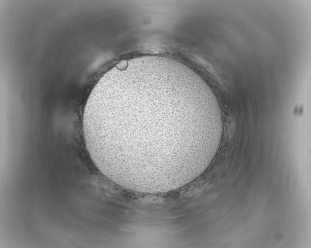 X0000090461446200708102101