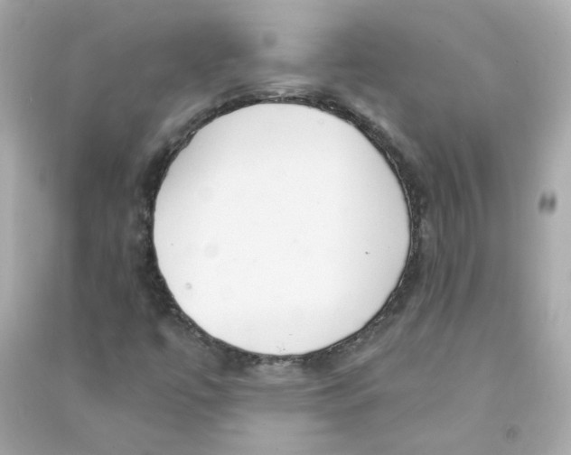 X0000090461447200708102101