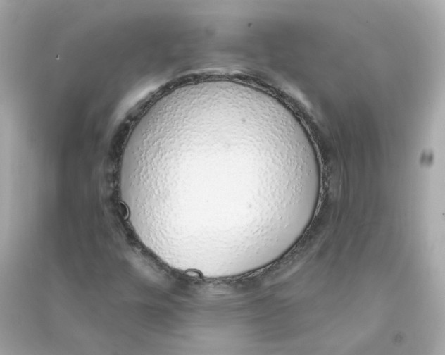 X0000090461448200708102101