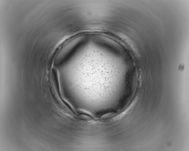 X0000090461449200708102101