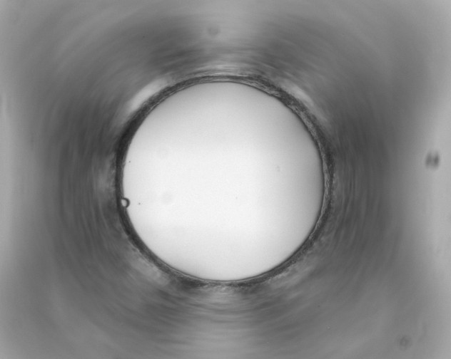 X0000090461450200708102101