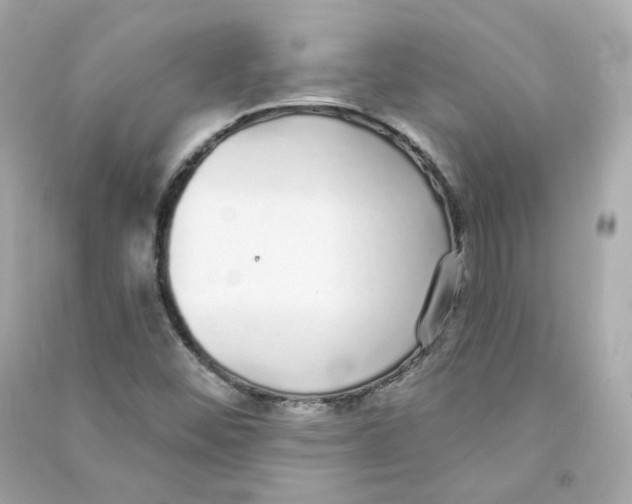 X0000090461452200708102101