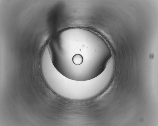 X0000090461453200708102101