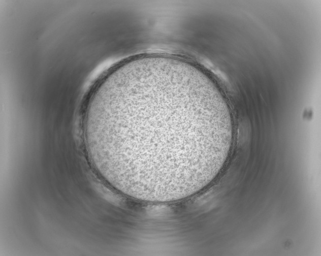 X0000090461454200708102101