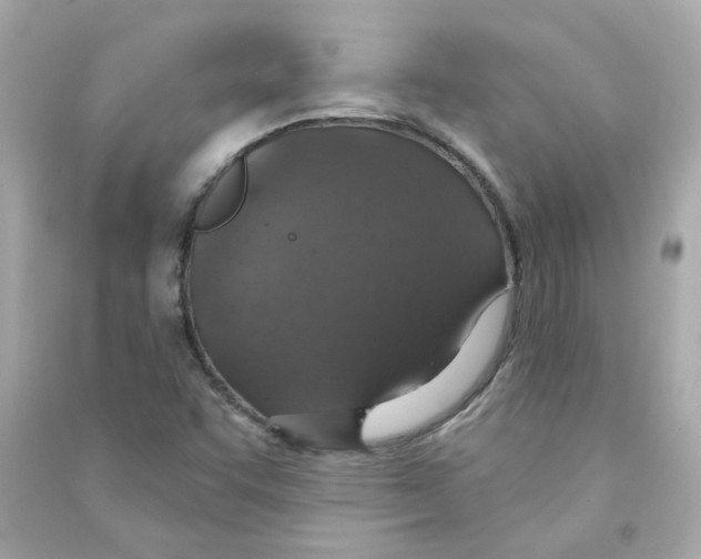 X0000090461455200708102101