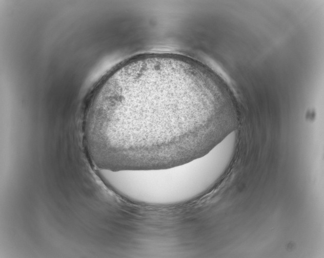 X0000090461456200708102101