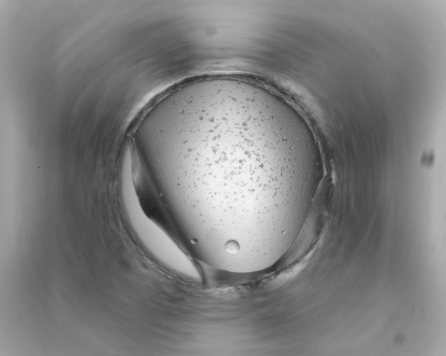 X0000090461457200708102101