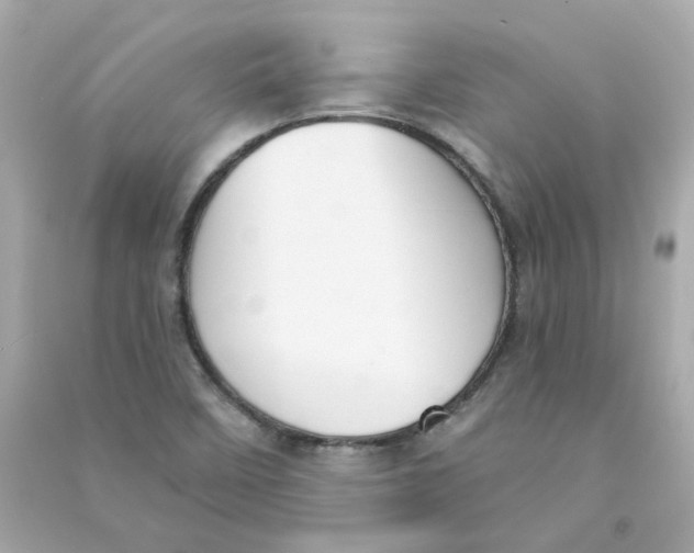 X0000090461458200708102101